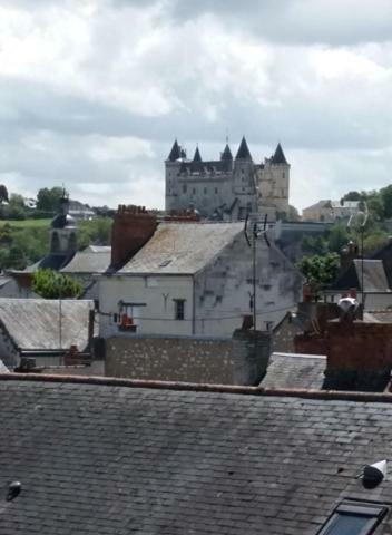 Appt 2Eme Etage Sur L'Ile De Saumur Luaran gambar